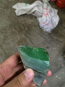 大馬坎黃加綠 種老翡翠的取料與工藝探析